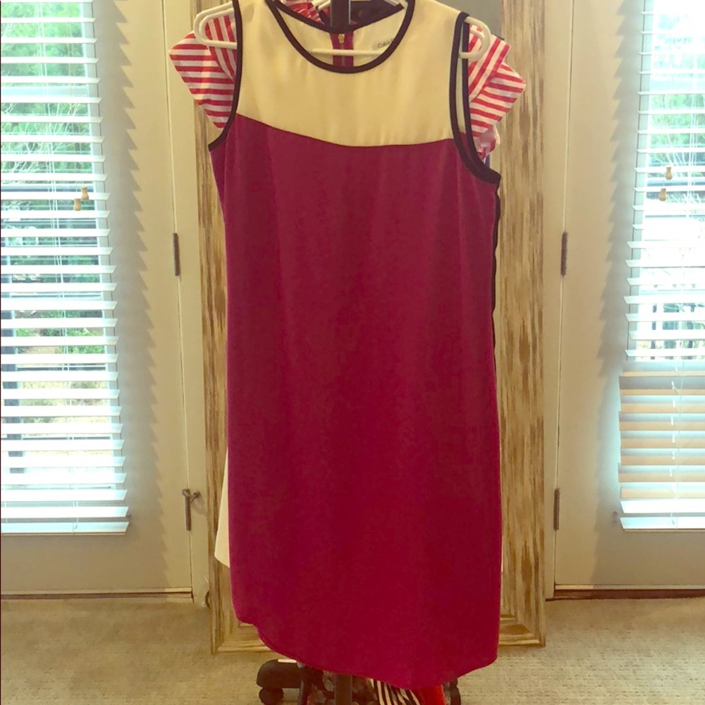 Calvin Klein hot pink and white dress